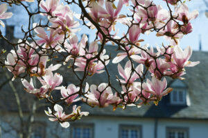 Mehr über den Artikel erfahren Beitrag C